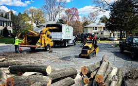 Best Lawn Seeding  in Naco, AZ